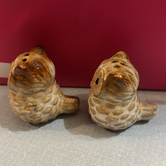 Owls - Picture 2 of 3